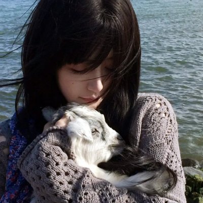 新奇的浪漫