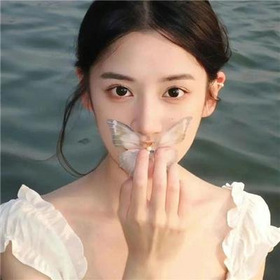 玉米上的麻雀